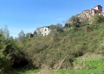 Terreno - Rustico via Padre Giuseppe Mazzino, 177, Cogorno - foto 12