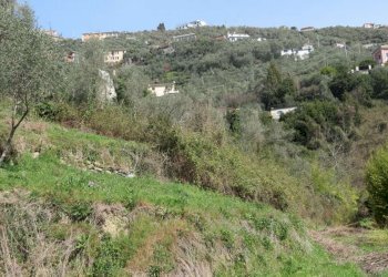 Terreno - Rustico via Padre Giuseppe Mazzino, 177, Cogorno - foto 14