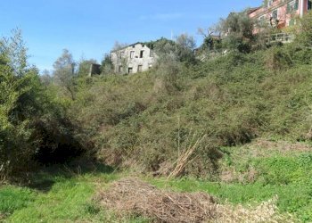 Terreno - Rustico via Padre Giuseppe Mazzino, 177, Cogorno - foto 15