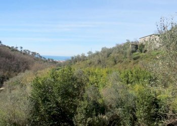 Terreno - Rustico via Padre Giuseppe Mazzino, 177, Cogorno - foto 17