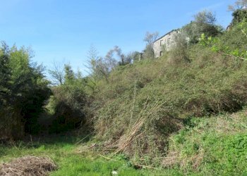 Terreno - Rustico via Padre Giuseppe Mazzino, 177, Cogorno - foto 18