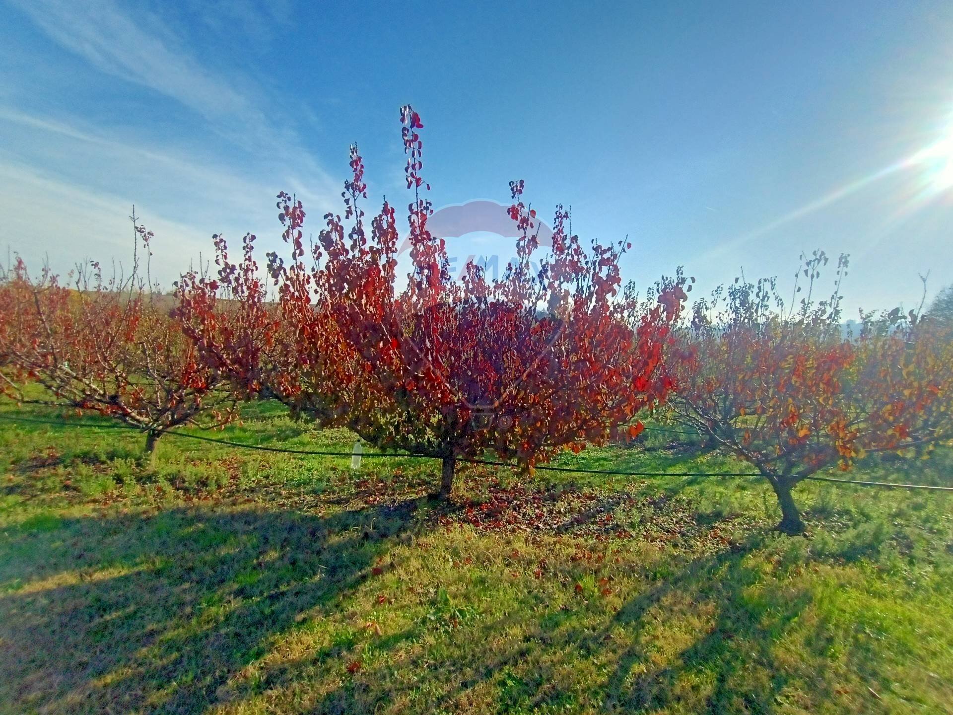 Terreno edificabile Via Monticelli, 2378 
 Bazzano, Valsamoggia (zona San Lazzaro) - foto 1
