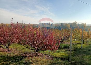 Terreno edificabile Via Monticelli, 2378 
 Bazzano, Valsamoggia (zona San Lazzaro) - foto 3