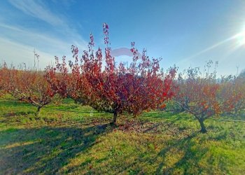 Terreno edificabile Via Monticelli, 2378 
 Bazzano, Valsamoggia (zona San Lazzaro) - foto 1