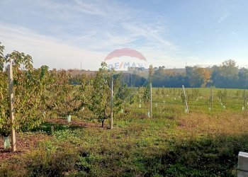 Terreno edificabile Via Monticelli, 2378 
 Bazzano, Valsamoggia (zona San Lazzaro) - foto 4