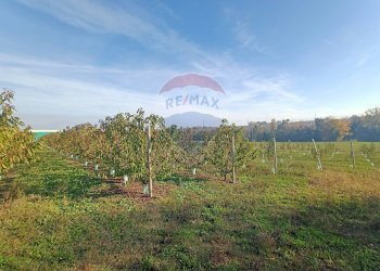 Terreno edificabile Via Monticelli, 2378 
 Bazzano, Valsamoggia (zona San Lazzaro) - foto 5