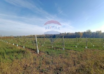 Terreno edificabile Via Monticelli, 2378 
 Bazzano, Valsamoggia (zona San Lazzaro) - foto 6