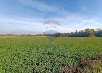 Terreno edificabile Via Monticelli, 2378 
 Bazzano, Valsamoggia (zona San Lazzaro) - foto 7