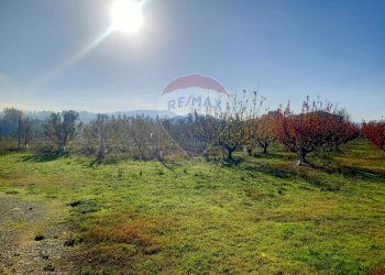 Terreno edificabile Via Monticelli, 2378 
 Bazzano, Valsamoggia (zona San Lazzaro) - foto 9