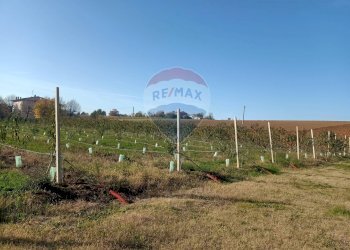 Terreno edificabile Via Monticelli, 2378 
 Bazzano, Valsamoggia (zona San Lazzaro) - foto 10