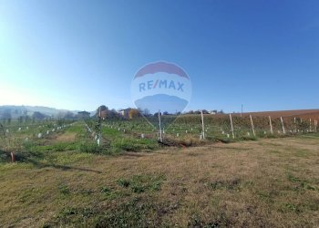 Terreno edificabile Via Monticelli, 2378 
 Bazzano, Valsamoggia (zona San Lazzaro) - foto 11