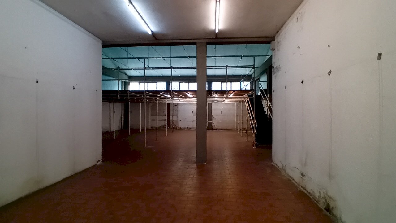 20231031_113046.jpg - Capannone Viale Duca della Vittoria, Rufina - foto 2