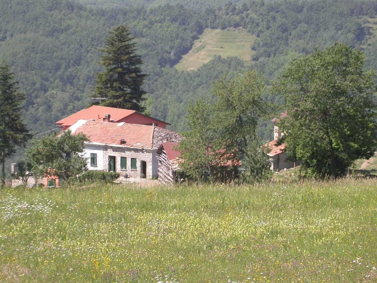 WhatsApp Image 2023-11-09 at 18.28.31.jpeg - Agritourism Località Cavizzano 13A, Varese Ligure - photo 2