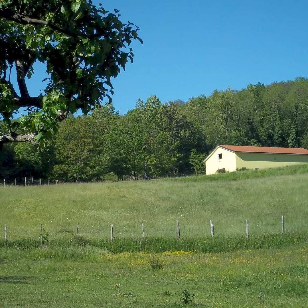 026b50ee-2d6e-4105-bd76-d635d5b3ec3c.jpg - Agritourism Località Cavizzano 13A, Varese Ligure - photo 3