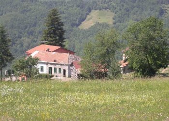 WhatsApp Image 2023-11-09 at 18.28.31.jpeg - Agriturismo Località Cavizzano 13A, Varese Ligure - foto 2