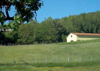 026b50ee-2d6e-4105-bd76-d635d5b3ec3c.jpg - Agriturismo Località Cavizzano 13A, Varese Ligure - foto 3