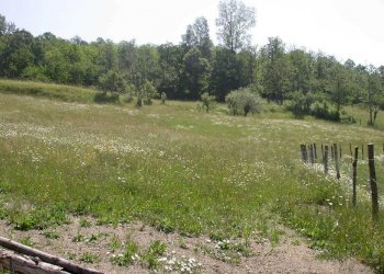 WhatsApp Image 2023-11-09 at 18.28.22.jpeg - Agriturismo Località Cavizzano 13A, Varese Ligure - foto 4