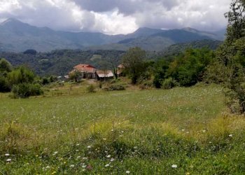 WhatsApp Image 2023-11-09 at 18.28.24 (2).jpeg - Agriturismo Località Cavizzano 13A, Varese Ligure - foto 7