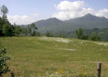 WhatsApp Image 2023-11-09 at 18.28.27 (2).jpeg - Agriturismo Località Cavizzano 13A, Varese Ligure - foto 11