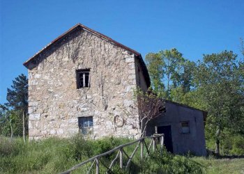 WhatsApp Image 2023-11-09 at 18.28.32.jpeg - Agriturismo Località Cavizzano 13A, Varese Ligure - foto 17