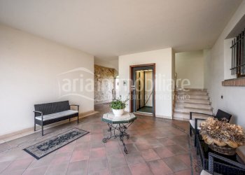 Attic Vignola - photo 28