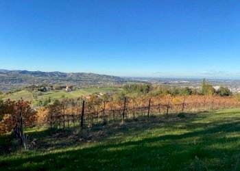 Villa a Schiera via Nuova, Prignano sulla Secchia - foto 26