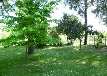 Villetta Cervia - foto 5