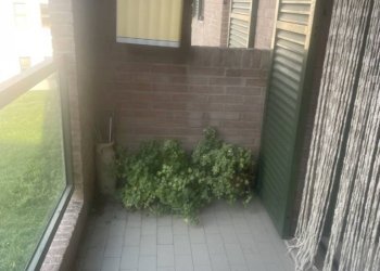 Bilocale GALLERIA DELLA SIMA, Jesi - foto 6