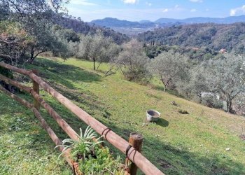 sa20.jpg - Villa Sarzana - foto 20