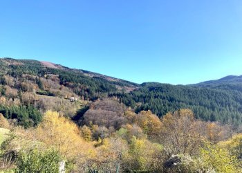 panorama - Terratetto - Terracielo Via dell'Appennino, Vernio - foto 5