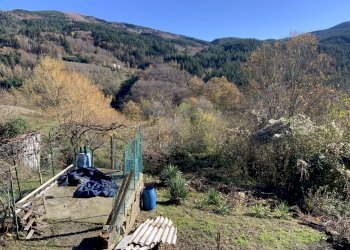 giardino - Terratetto - Terracielo Via dell'Appennino, Vernio - foto 7