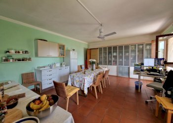 20230623_103811.jpg - Villa Vocabolo Murotondo, Baschi - foto 21