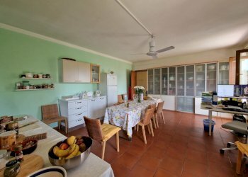 20230623_103815.jpg - Villa Vocabolo Murotondo, Baschi - foto 23