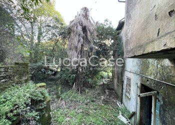 Casa indipendente Lucca (zona Santa Maria del Giudice) - foto 8