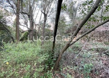 Casa indipendente Lucca (zona Santa Maria del Giudice) - foto 12