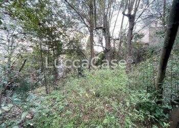 Casa indipendente Lucca (zona Santa Maria del Giudice) - foto 21