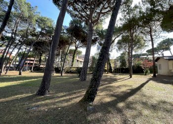 Terreno edificabile Cervia - foto 9