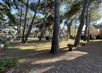 Terreno edificabile Cervia - foto 12