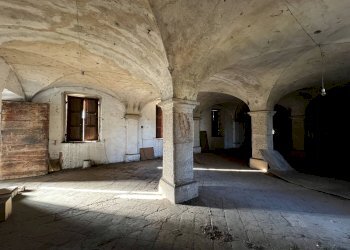 Terreno edificabile Via Alpignano, Collegno - foto 10