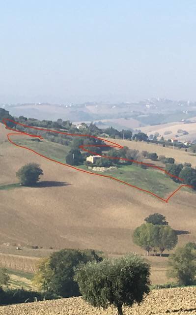 Terreno edificabile Contrada San Francesco, Recanati - foto 2