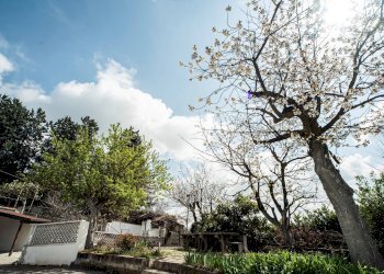 Villa Via Chieri Pecetto, Pino Torinese - foto 25