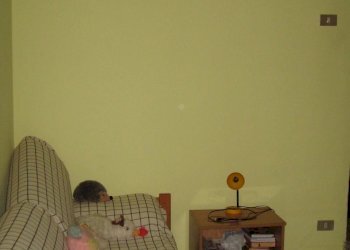 C 017.jpg - Terratetto - Terracielo Orsogna - foto 15