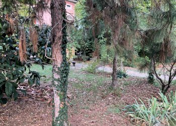 Villa Unifamiliare Parma - foto 5