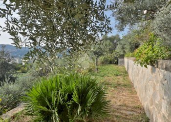 Villa Via Giovanni Lanfranco, Albisola Superiore - foto 8