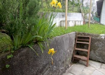 IMG-20231109-WA0029.jpg - Portion of a house Casola in Lunigiana - photo 23