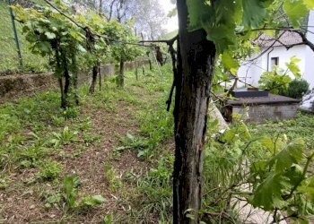 IMG-20231109-WA0002.jpg - Portion of a house Casola in Lunigiana - photo 24