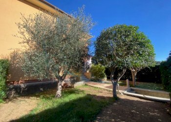 IMG_1930 (FILEminimizer).jpg - Appartamento Via Nilde Iotti, Rosignano Marittimo - foto 3