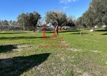 29.jpg - Villa Strada vicinale Mancarella, Melendugno - foto 25