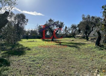 32.jpg - Villa Strada vicinale Mancarella, Melendugno - foto 27