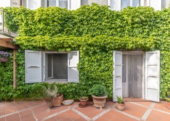 IR - Casa indipendente via Falconara, Cesena - foto 3